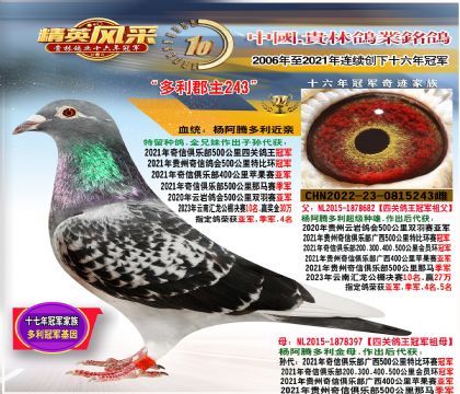 详细阅读:各地公棚信鸽信息网公棚(各地公棚信鸽信息网公棚DPS) 各地公棚信鸽信息网公棚(各地公棚信鸽信息网公棚DPS)